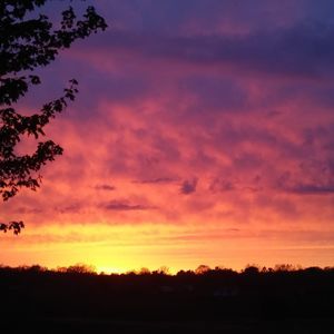 Meet your Posher, Max